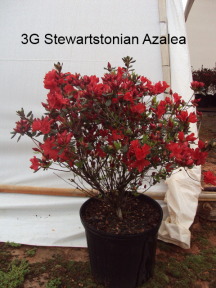 Mouse over to check the plant name